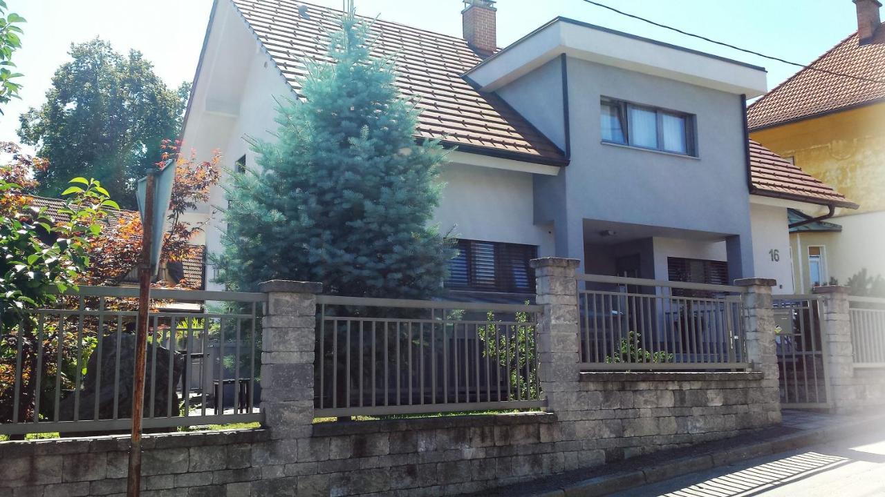 Apartment Emma Ljubljana - Free Parking, Ac, Wifi Exteriör bild