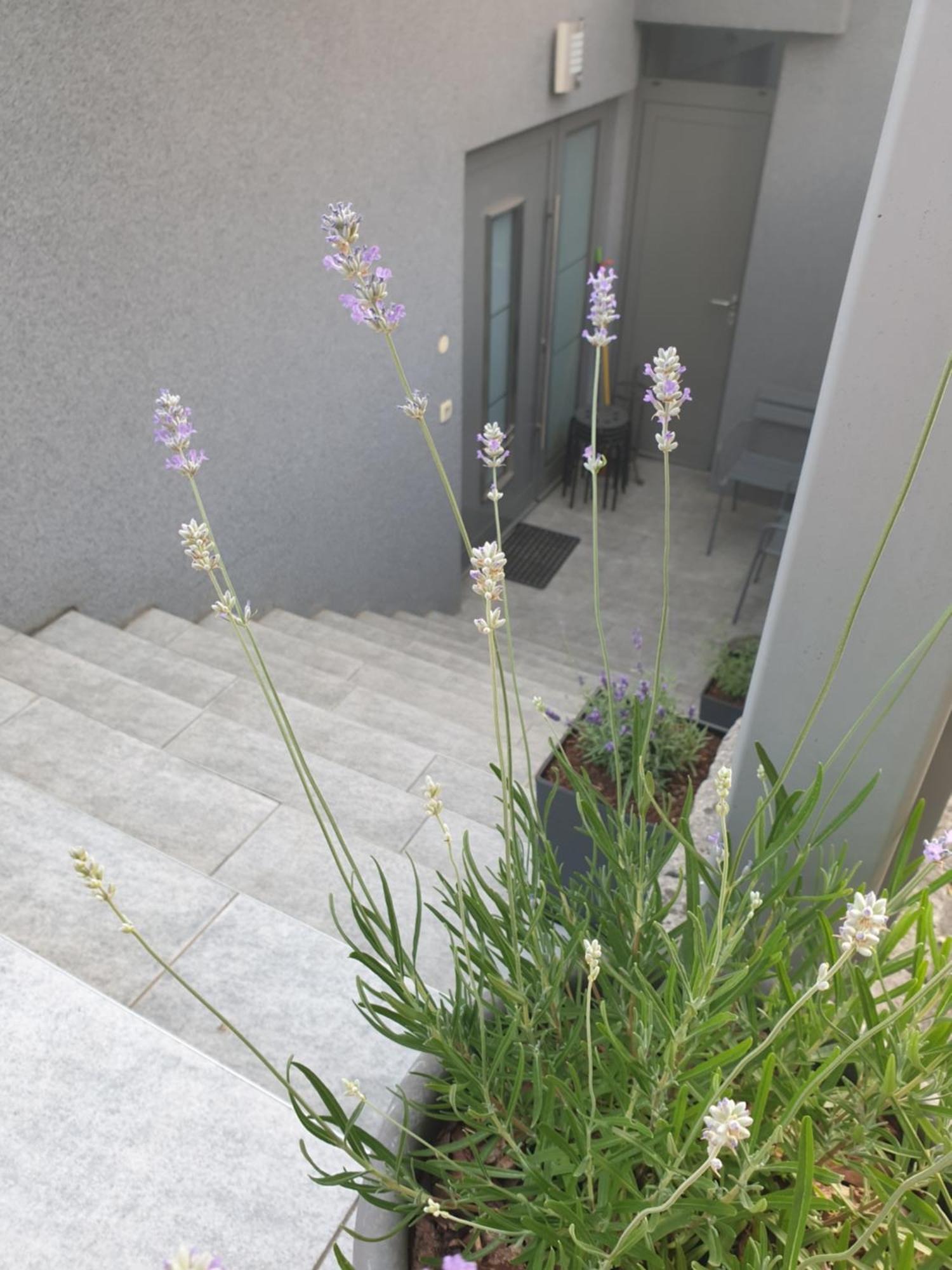 Apartment Emma Ljubljana - Free Parking, Ac, Wifi Rum bild